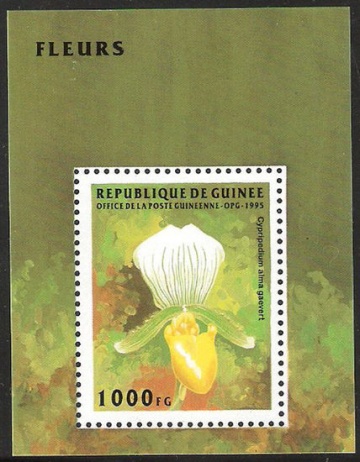 Почтовая марка Флора. Гвинея. Михель № 1554 блок № 497