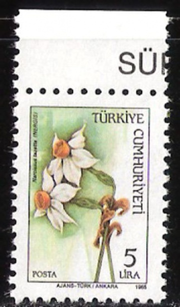 Почтовая марка Флора. Турция. Михель № 2702