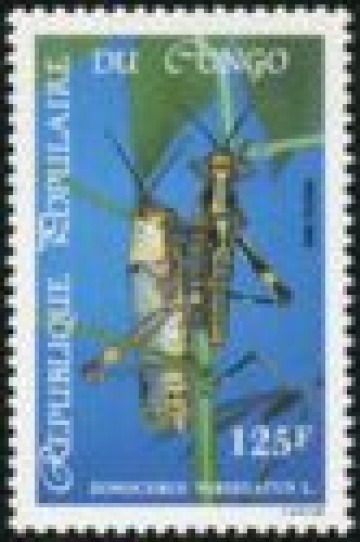 Почтовая марка Фауна Конго Михель № 989