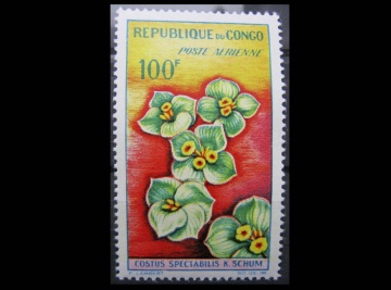 Почтовые марки Конго Флора  Михель №28